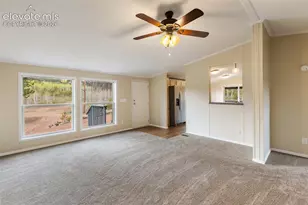 100 Wolverine Dr, Florissant, CO 80816 - Photo 15