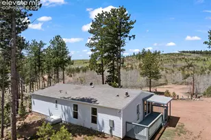 100 Wolverine Dr, Florissant, CO 80816 - Photo 7