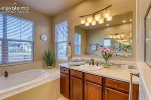4808 Alberta Falls Way, Colorado Springs, CO 80924 - Photo 27