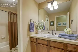 4808 Alberta Falls Way, Colorado Springs, CO 80924 - Photo 39