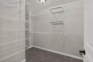 8704 Meadow Tree Trail, Colorado Springs, CO 80927 - Photo 25
