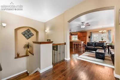 7867 Silver Birch Drive, Colorado Springs, CO 80927 - Photo 3