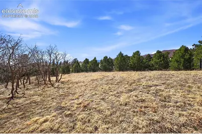 2615 Tamora Way, Colorado Springs, CO 80919 - Photo 33