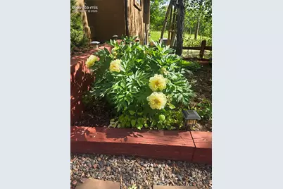 1375 Blueberry Hills Road, Monument, CO 80132 - Photo 49
