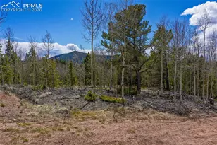 2747 Co Rd 61, Cripple Creek, CO 80813 - Photo 29