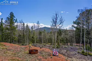2747 Co Rd 61, Cripple Creek, CO 80813 - Photo 31