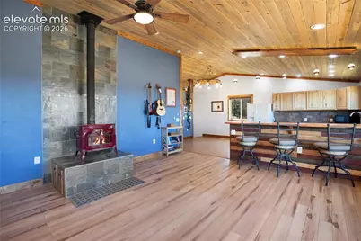 2747 County Road 61, Cripple Creek, CO 80813 - Photo 9