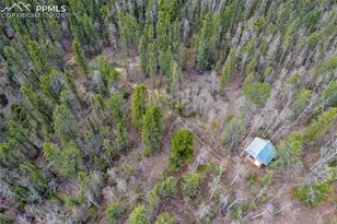 2747 Co Rd 61, Cripple Creek, CO 80813 - Photo 33