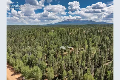 1121 Ridge Road, Divide, CO 80814 - Photo 39