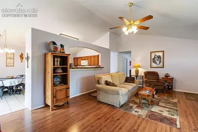 1121 Ridge Road, Divide, CO 80814 - Photo 7