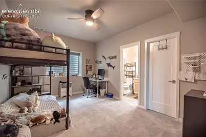 2243 Merlot Drive, Colorado Springs, CO 80921 - Photo 39