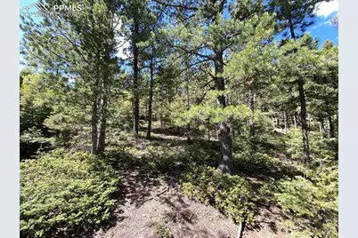 210 Waterfall Loop, Manitou Springs, CO 80829 - Photo 11