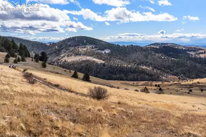 Private Road, Cripple Creek, CO 80813 - Photo 9