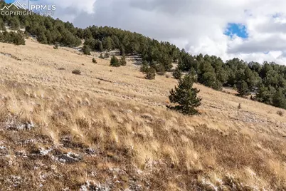 Private Road, Cripple Creek, CO 80813 - Photo 5