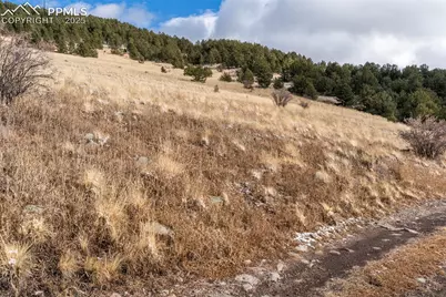 Private Road, Cripple Creek, CO 80813 - Photo 11