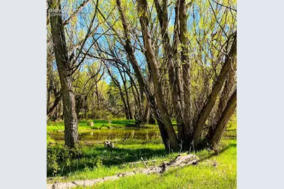222 Clio Avenue, Palmer Lake, CO 80133 - Photo 37