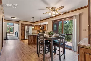 222 Clio Ave, Palmer Lake, CO 80133 - Photo 11