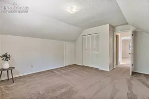 222 Clio Ave, Palmer Lake, CO 80133 - Photo 29