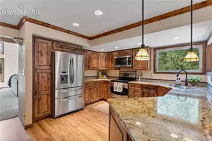 222 Clio Ave, Palmer Lake, CO 80133 - Photo 9