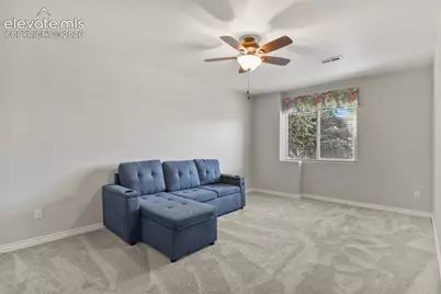 1355 Almagre Peak Drive, Colorado Springs, CO 80921 - Photo 37