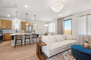 11047 Shelter Crk Dr, Peyton, CO 80831 - Photo 7