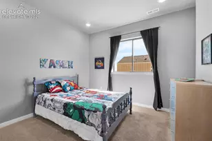 11047 Shelter Crk Dr, Peyton, CO 80831 - Photo 27