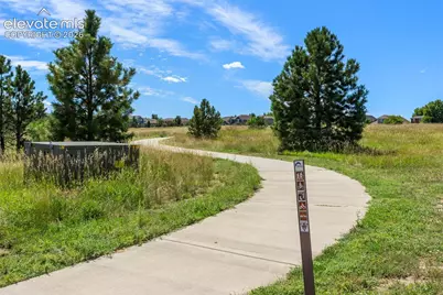 4298 N Meadows Drive, Castle Rock, CO 80109 - Photo 27