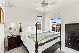 4298 N Meadows Dr, Castle Rock, CO 80109 - Photo 19