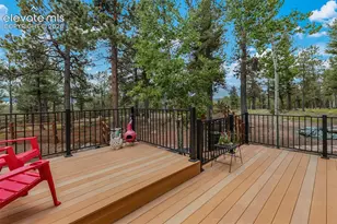 9 Arapahoe St, Woodland Park, CO 80863 - Photo 37