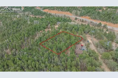 881 Timber Ridge Road, Divide, CO 80814 - Photo 7