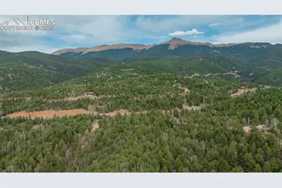 881 Timber Ridge Road, Divide, CO 80814 - Photo 13