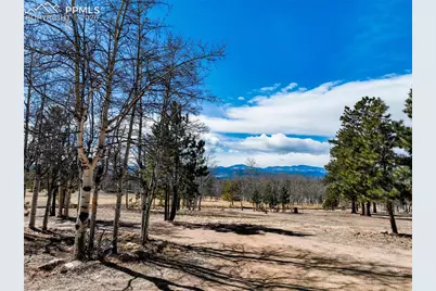 1874 Vagabond Creek Drive, Lake George, CO 80827 - Photo 41