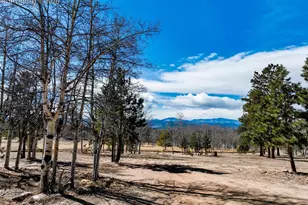 1874 Vagabond Creek Dr, Lake George, CO 80827 - Photo 41