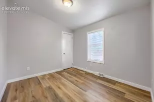 4648 Pika Point, Colorado Springs, CO 80922 - Photo 21