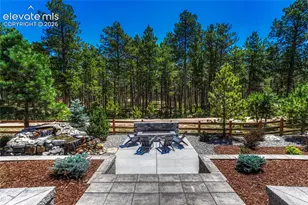 16356 Treetop Glory Ct, Monument, CO 80132 - Photo 41