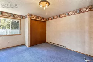1506 Lake Pl, Divide, CO 80814 - Photo 17