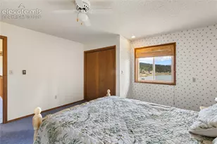 1506 Lake Pl, Divide, CO 80814 - Photo 29