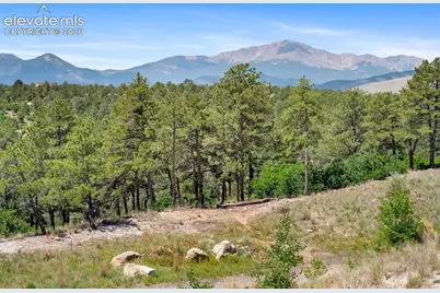 455 Allegheny Drive, Colorado Springs, CO 80919 - Photo 47