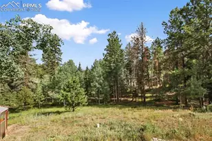 410 Rangeview Rd, Divide, CO 80814 - Photo 17