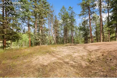 410 Rangeview Road, Divide, CO 80814 - Photo 19