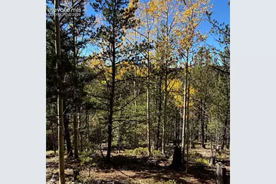 773 Timber Ridge Road, Divide, CO 80814 - Photo 7