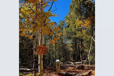 773 Timber Ridge Road, Divide, CO 80814 - Photo 3