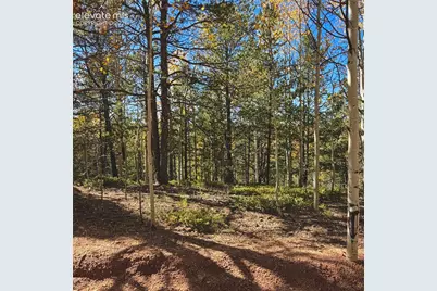 773 Timber Ridge Road, Divide, CO 80814 - Photo 11