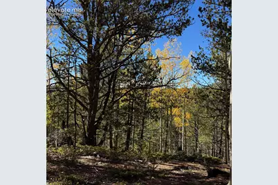 773 Timber Ridge Road, Divide, CO 80814 - Photo 5