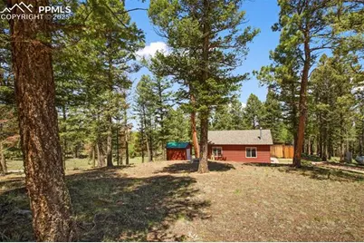 31 Handcart Circle, Florissant, CO 80816 - Photo 33