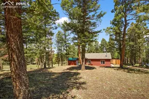 31 Handcart Cir, Florissant, CO 80816 - Photo 33