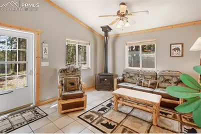 31 Handcart Circle, Florissant, CO 80816 - Photo 7