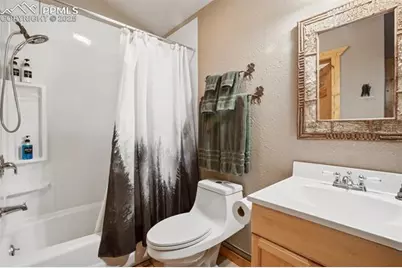 31 Handcart Circle, Florissant, CO 80816 - Photo 17