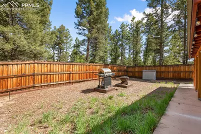 31 Handcart Circle, Florissant, CO 80816 - Photo 25