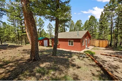 31 Handcart Circle, Florissant, CO 80816 - Photo 29